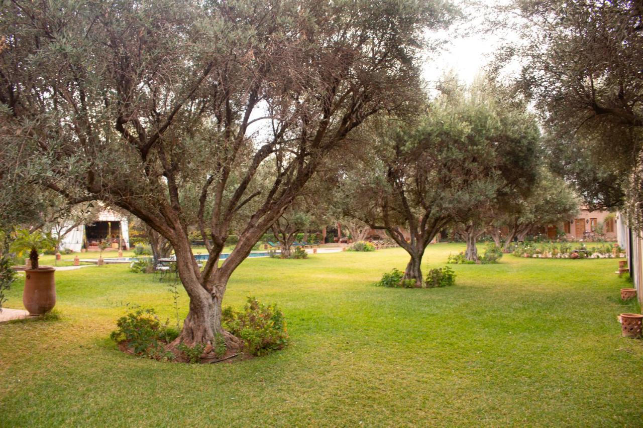 Greenlife Marrakech Marrakesh Esterno foto
